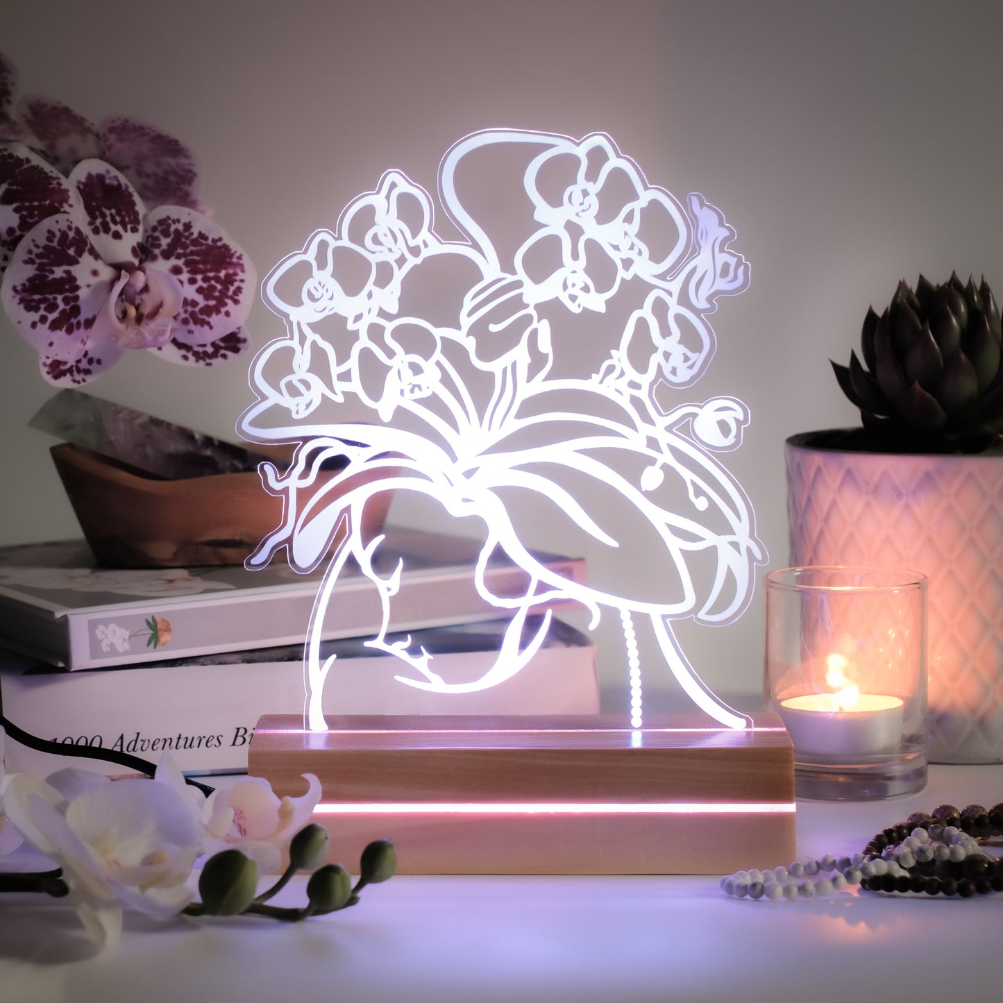 Moth Orchid Night Light